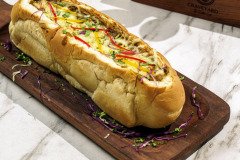 WhatsApp-Image-2026-01-17-at-5.28.45-PM-2