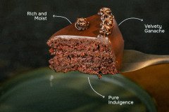 WhatsApp-Image-2026-01-17-at-5.28.45-PM-4